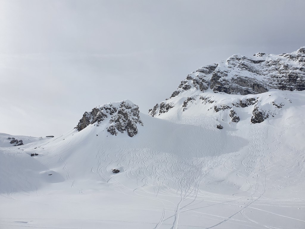 Abendweide_Feber_21_LZTG_by_Markus_Hahn (12).jpg