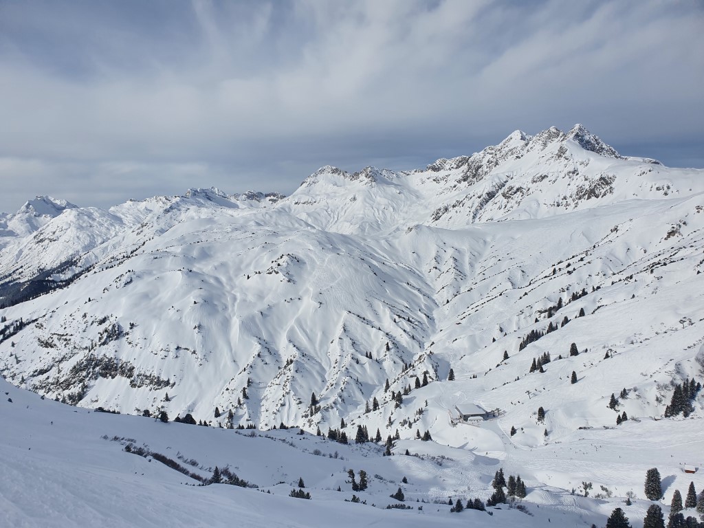 Abendweide_Feber_21_LZTG_by_Markus_Hahn (1).jpg