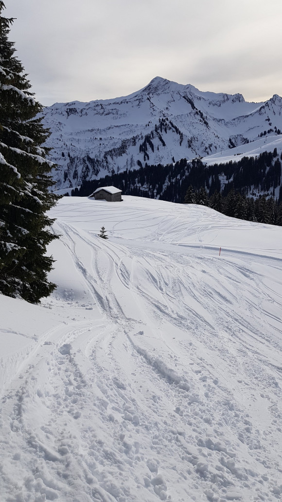 Zurück in Damüls. Nass, weich und warm