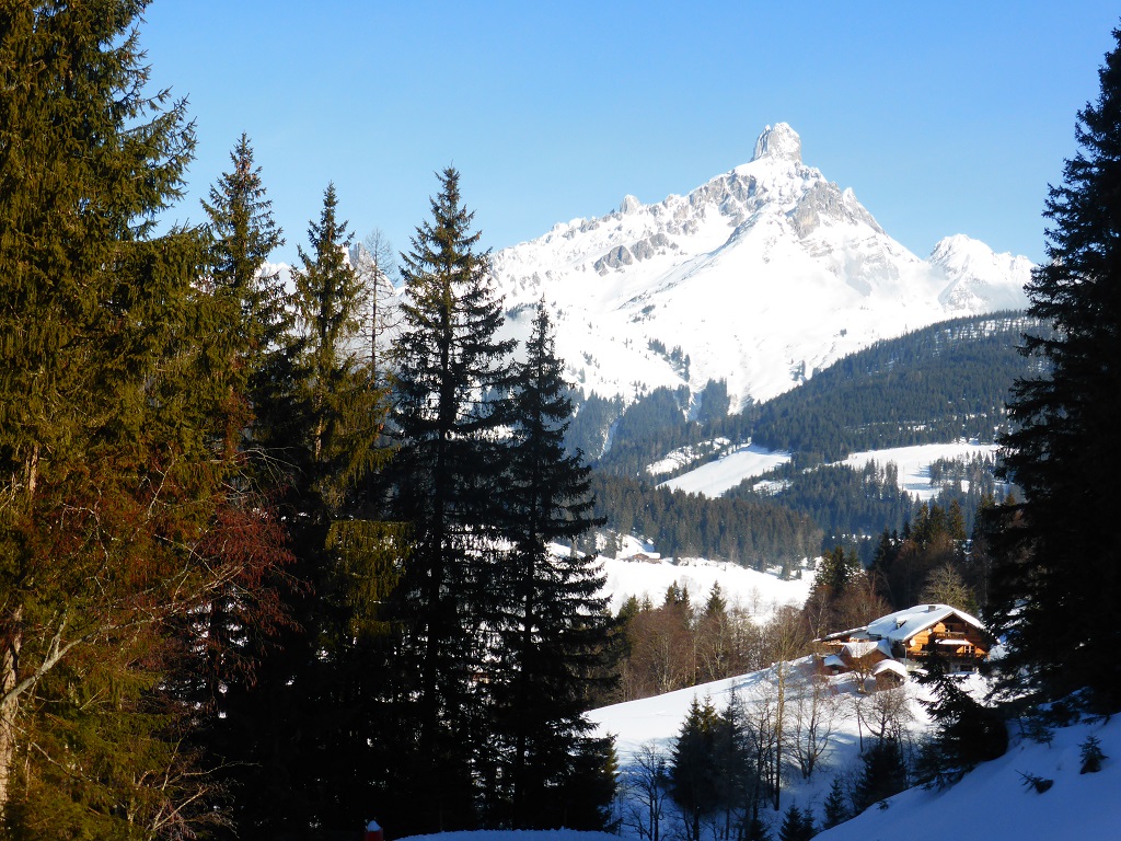 ich glaube, das ist die Bischofsmütze