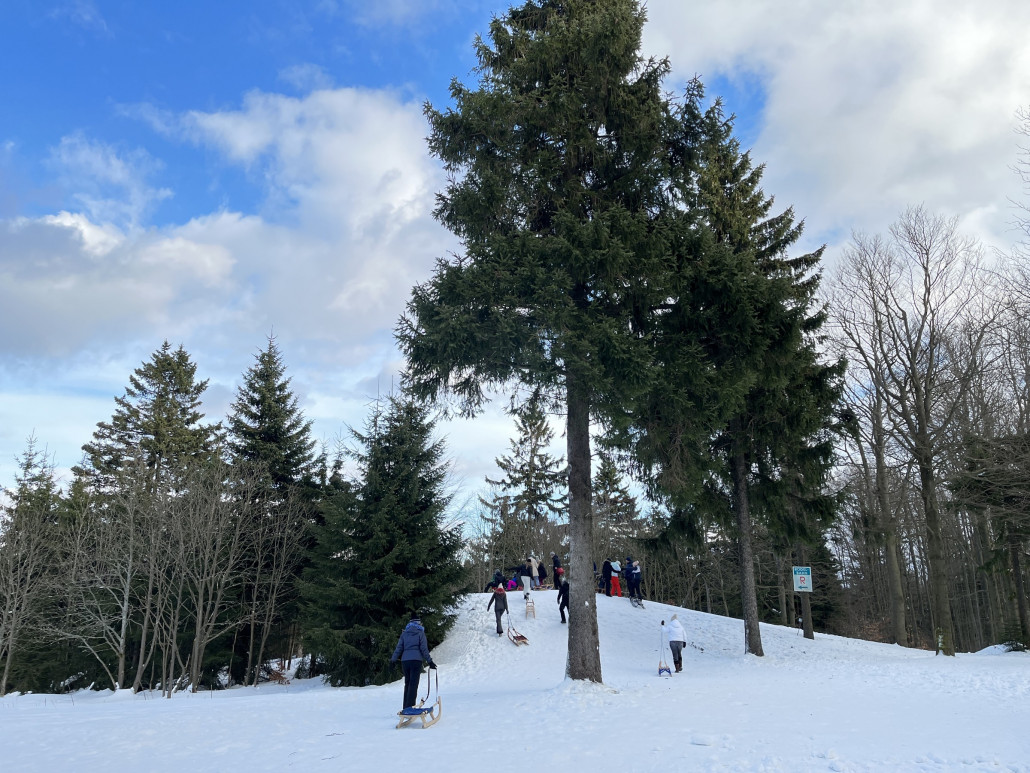 Start der Rodelbahn mit kleinem Hügel, das Gefälle ist sehr gleichmäßig und das Tempo war hoch genug