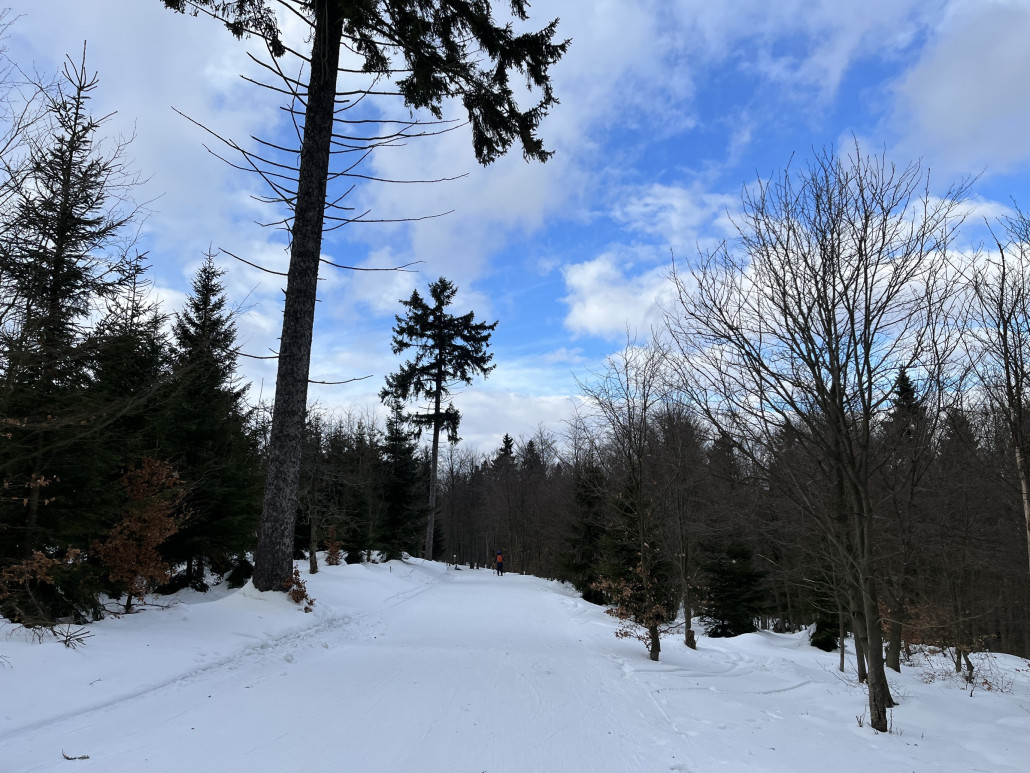 Ziehweg zum blauen „Fleischerhang“