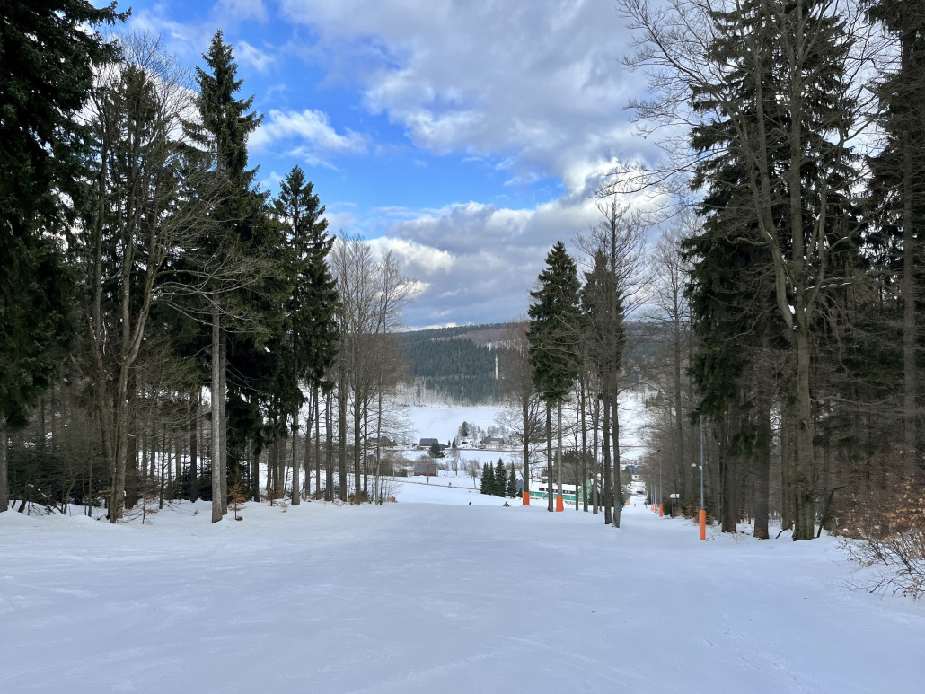 Endlich den Hang erreicht, es kann auch rechts der Bäume gefahren werden (vermutlich verlief dort mal ein Schlepplift ehe dieser Hang mittels Ziehweg an die 2SB angebunden wurde)