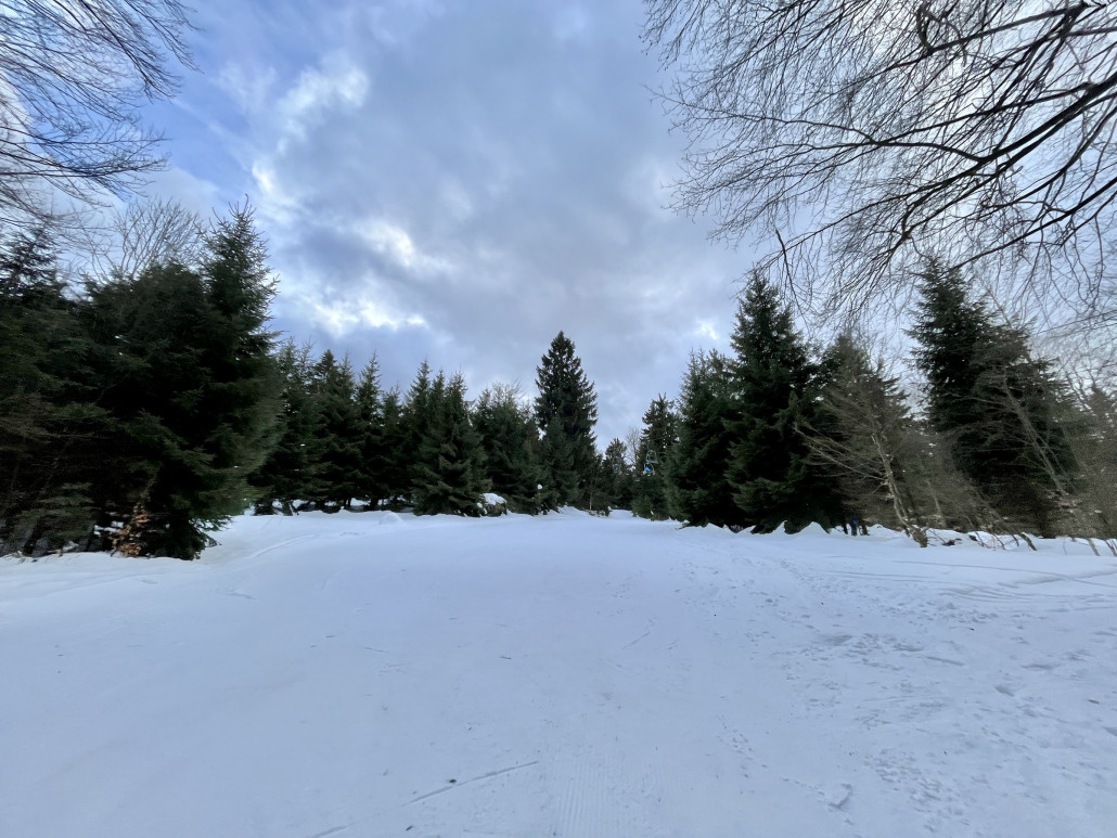 auf eben dieser Abfahrt im oberen Teil und Blick zurück nach Kreuzung mit der Lifttrasse