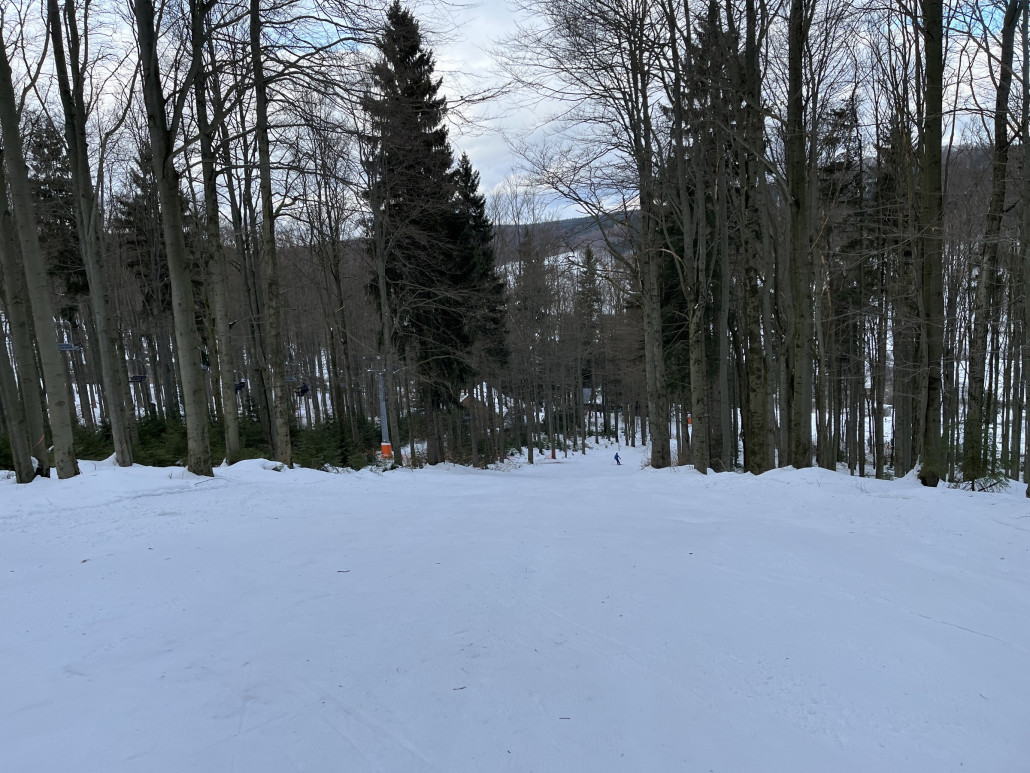 weiter unten im steilen Wald, wenn dann liegt nur etwas Grünzeug auf der Piste
