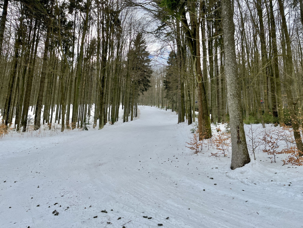 Zielkurve der „Sachsenabfahrt“ auf der man das Gefälle des Hanges ganz gut erkennen kann