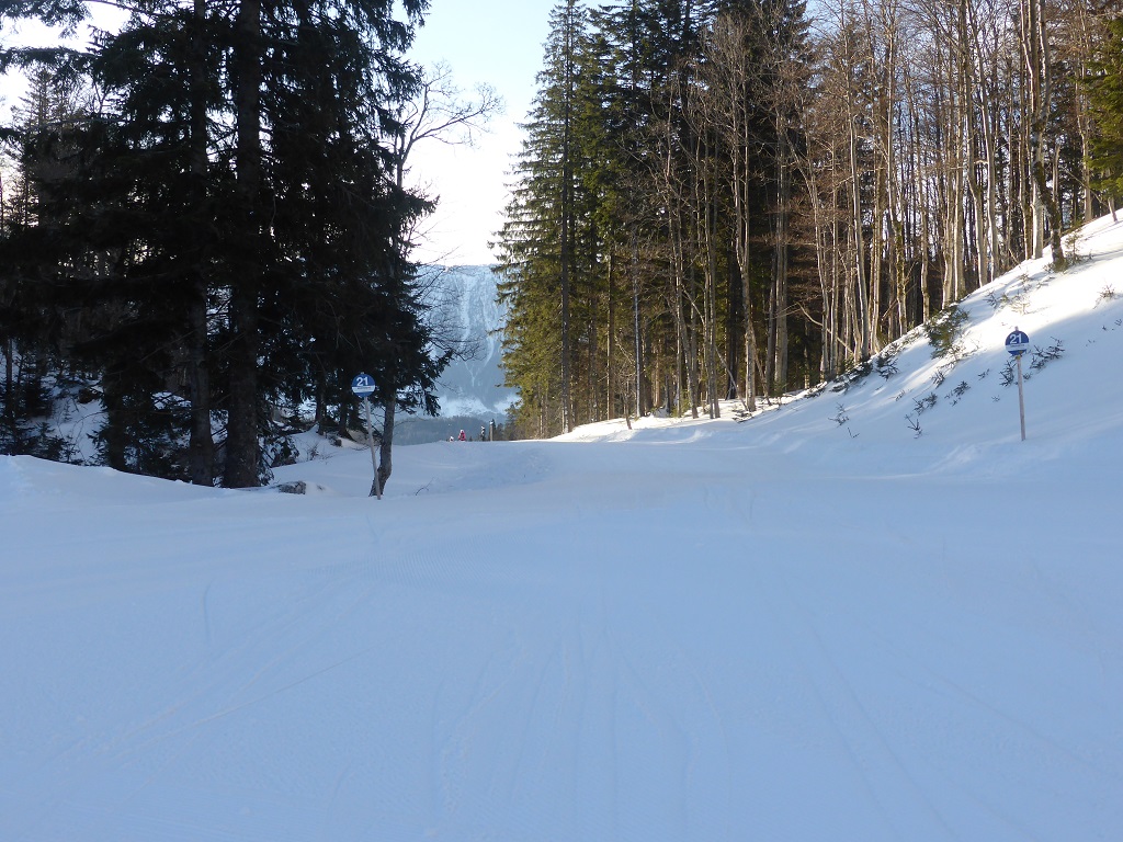 idylischer Start der blauen 21