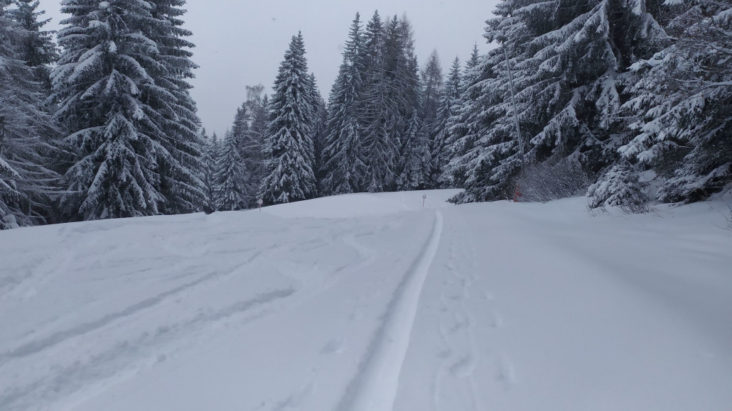 20cm Neuschnee waren es bestimmt