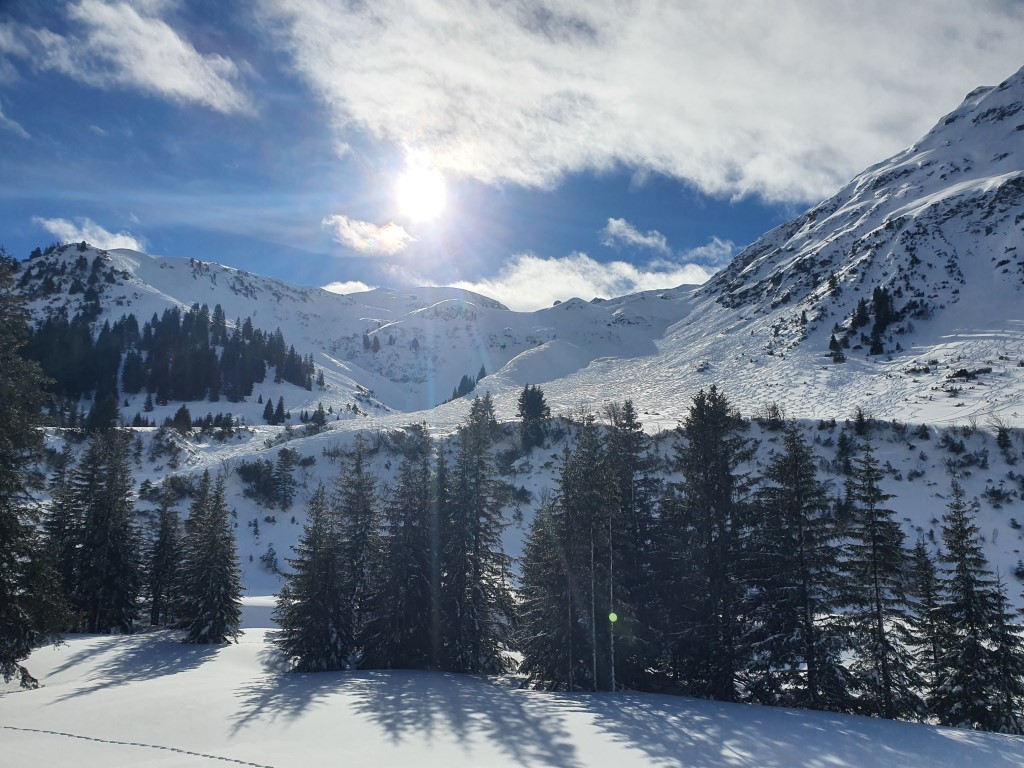 Feber_Paziel_22_LZTG_by_Markus_Hahn (47).jpg