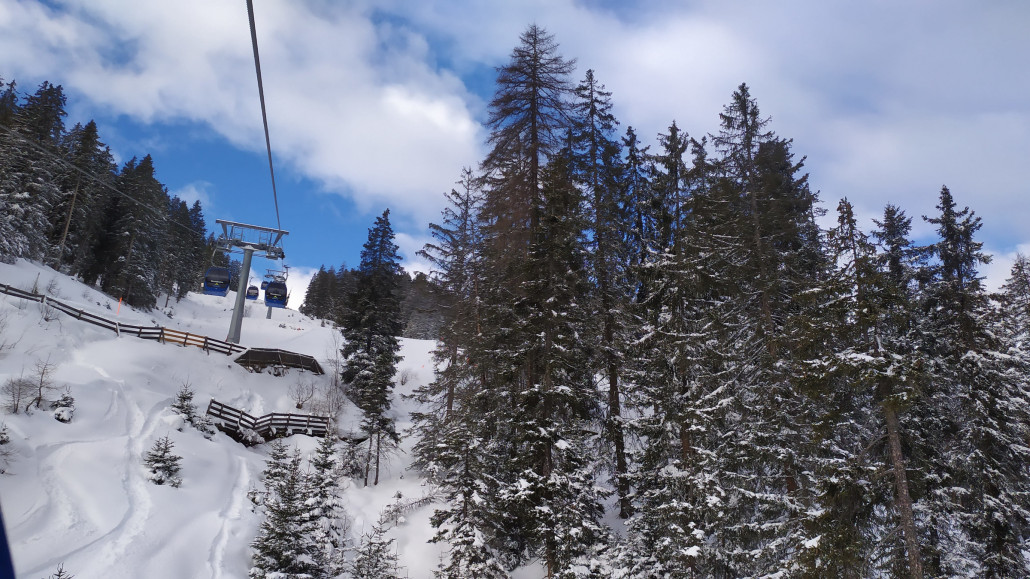 Los gings in der Waldbahn
