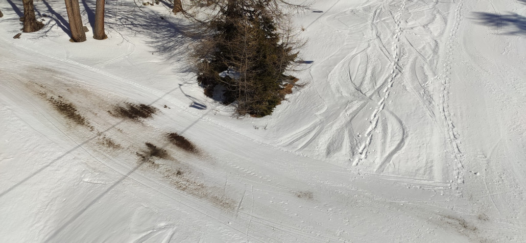 die schlimmste braune Stelle (Umfahrung schwarze Piste)