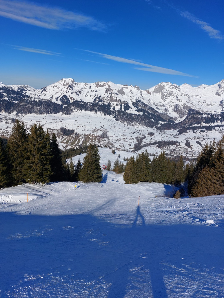 Schwarze 4 heute genial griffig