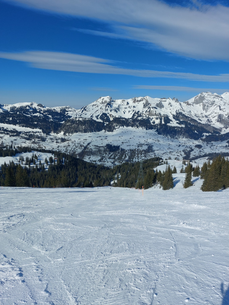Die 3 Simon Amman Piste gut, aber andere stachen mehr raus heute.