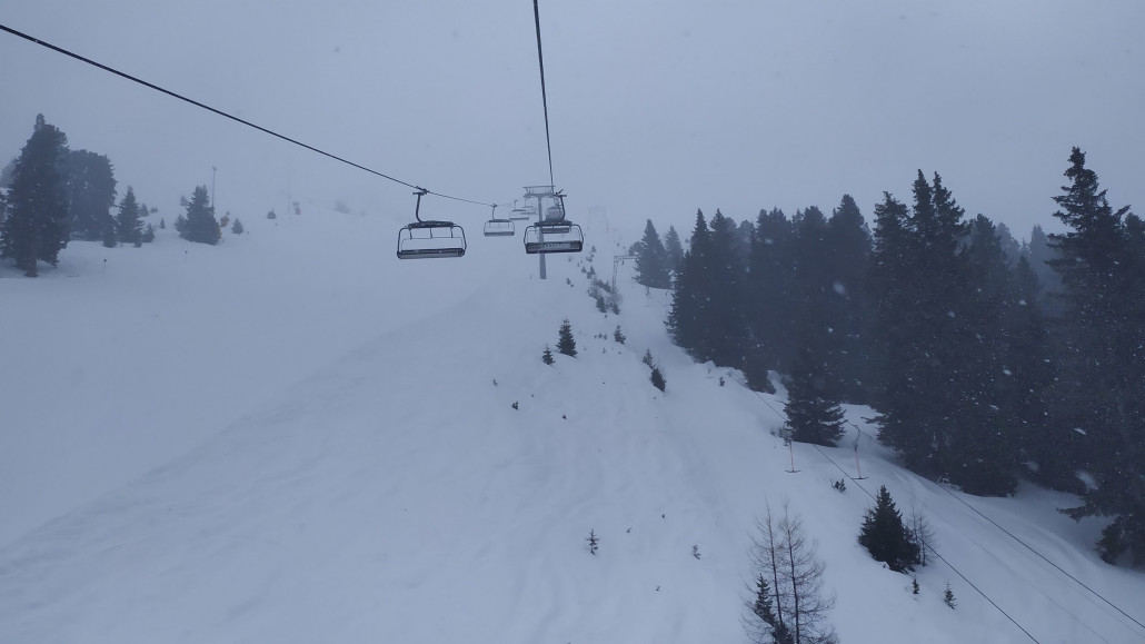 Mit Wald gab es etwas Kontrast