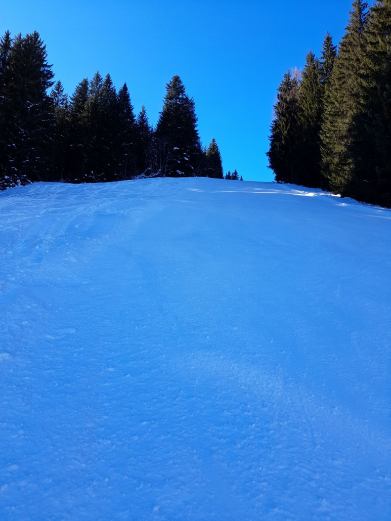 Götschenabfahrt 16a