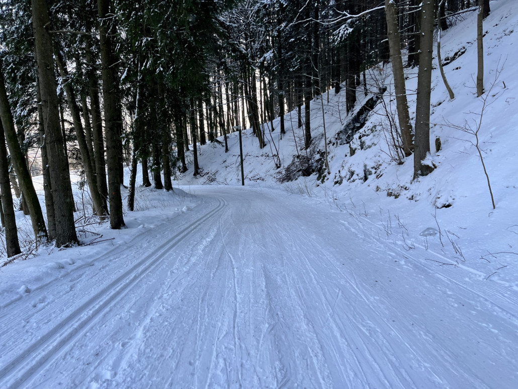 Ziehweg von der roten zum Haupthang teilt man sich mit Nordischen Skisportlern