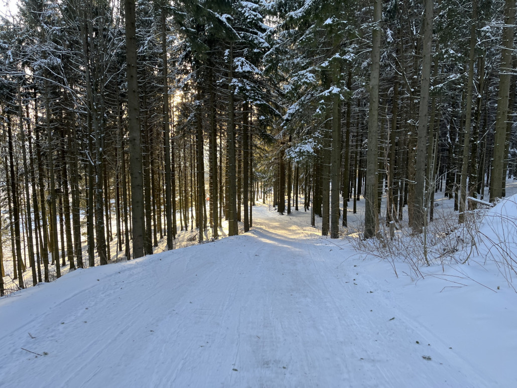 Einzige Schwachstellen gab es auf der blauen Abfahrt - hier war es abgerutscht…