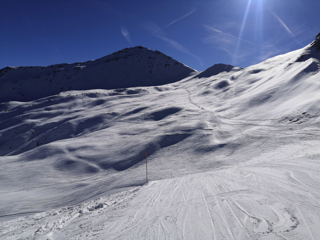 Gelände, in welchem im Sommer eine Neuerschliessung realisiert wird.