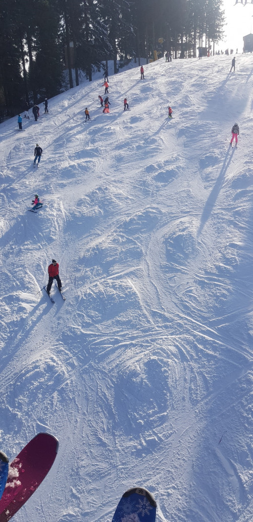 Berühmte buckelpiste bei möppi