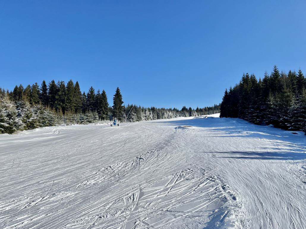 Mittelteil mit Blick bergwärts, rechts die Jumpline des Bikepark war auch befahrbar wenn auch hier und da Steine durchschauten - das könnte man m.E. mit ein wenig Mühe auch offiziell präparieren...