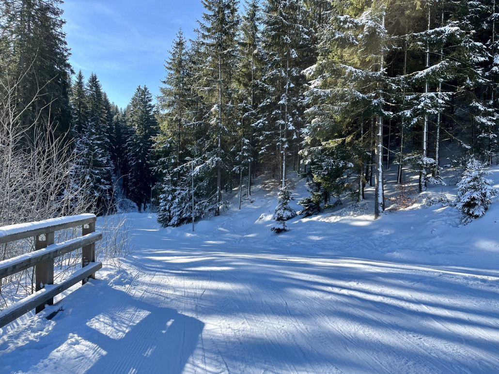 Einfahrt zur Piste 7b "Daniela" bzw. dem Ziehweg von "Modes Grund" zur 4KSB "Mercedes Benz"