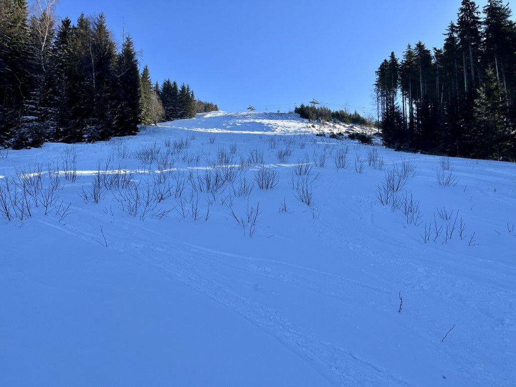 Gemüse schaute auch hier noch durch, aber sicher 15cm lockerer Schnee auf einer festen Unterlage so dass uns kein Bodenkontakt passierte