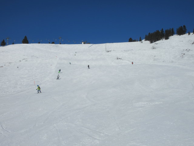 Latschenhang, im Hintergrund die Bergstation des 4-CLF Latschenalm (1.505 m)