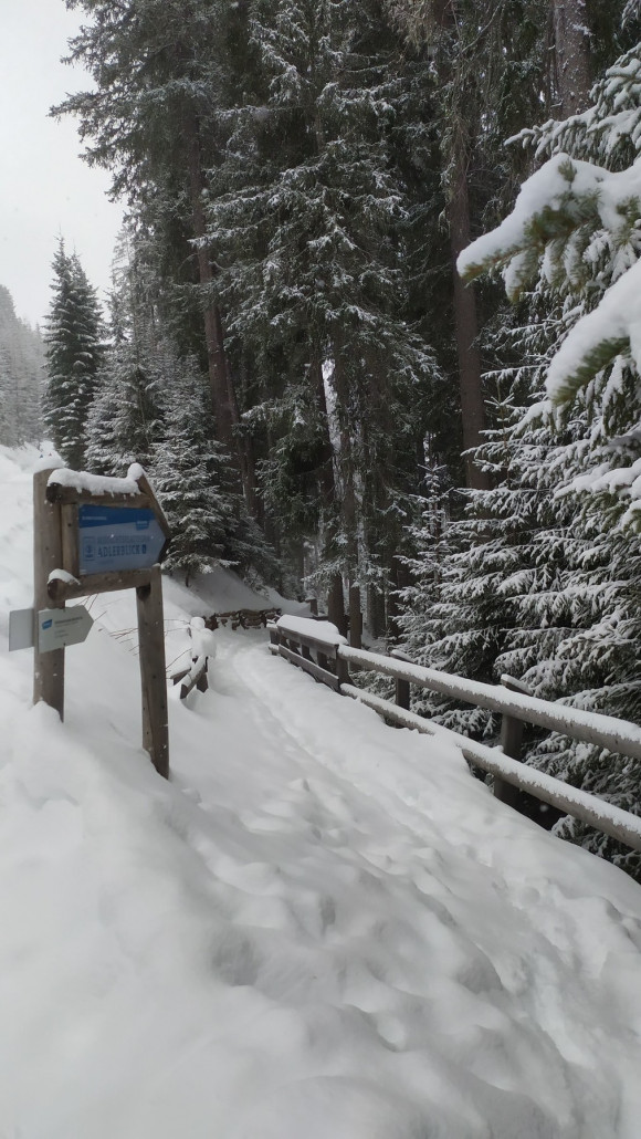 Schöne winterliche Landschaft