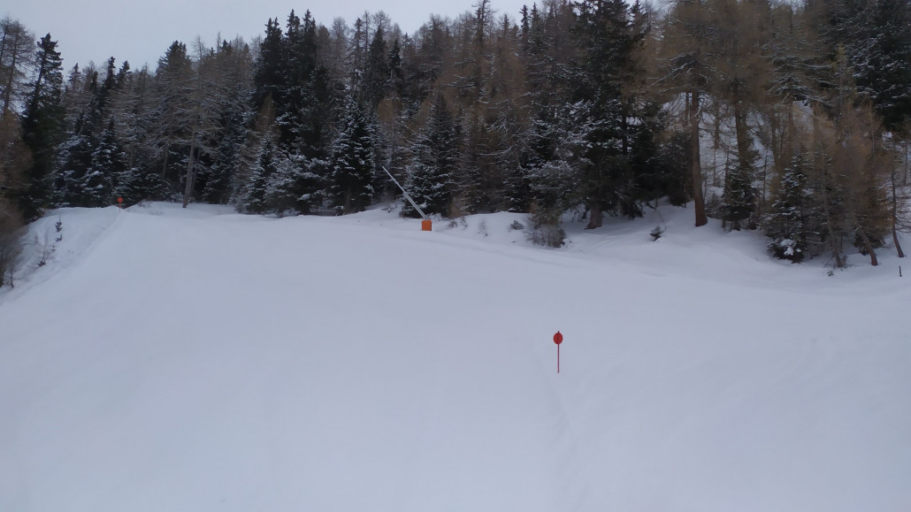 Die Abfahrt schlängelt sich schön durch den Wald