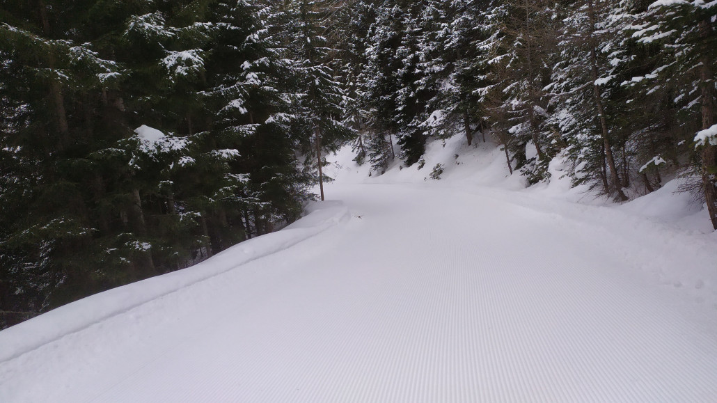 Unten geht es auf einem Ziehweg durch den Wald, um 10 Uhr waren wir hier die ersten