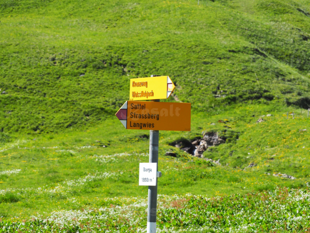 ^^ Fondei Barga am Scheideweg zwischen Langwies, Durannapass und dem Skigebiet Parsenn