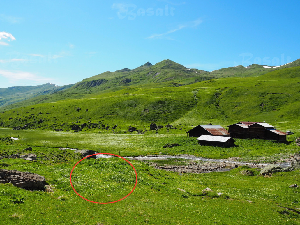 ^^ Bereich der der früheren Talstation des Kreuzweglifts in Fondei Barga