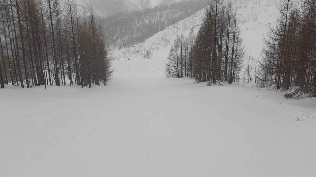 "Hintenrumpiste" am Stafelwald (Montag) schön zu fahren
