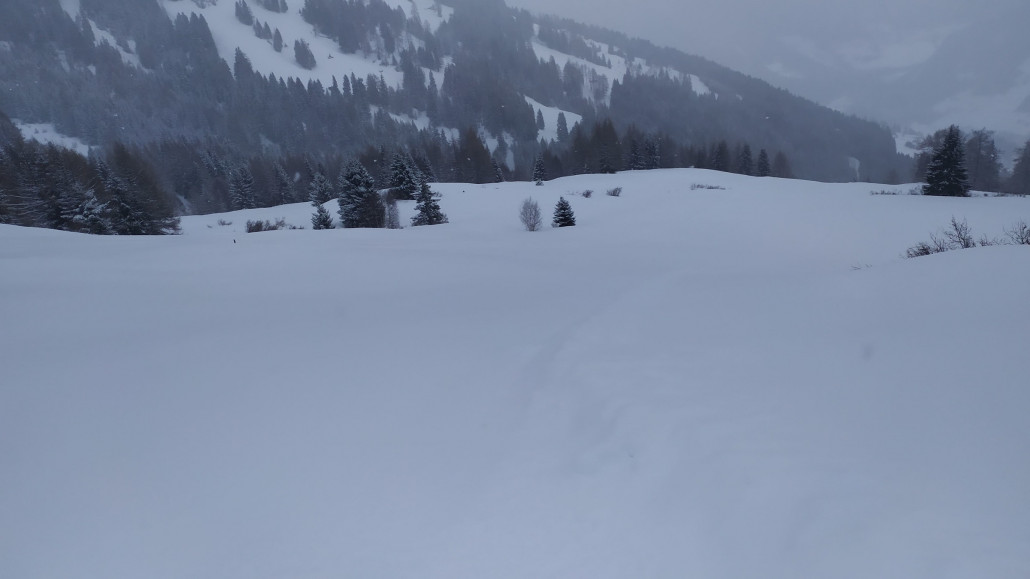 Die rote Abfahrt zur Venet Süd Talstation war frisch präpariert mit 10 cm Neuschnee. Dank dem "gesperrt" Schild am Einstieg war sie um 11 Uhr noch unverspurt :-)