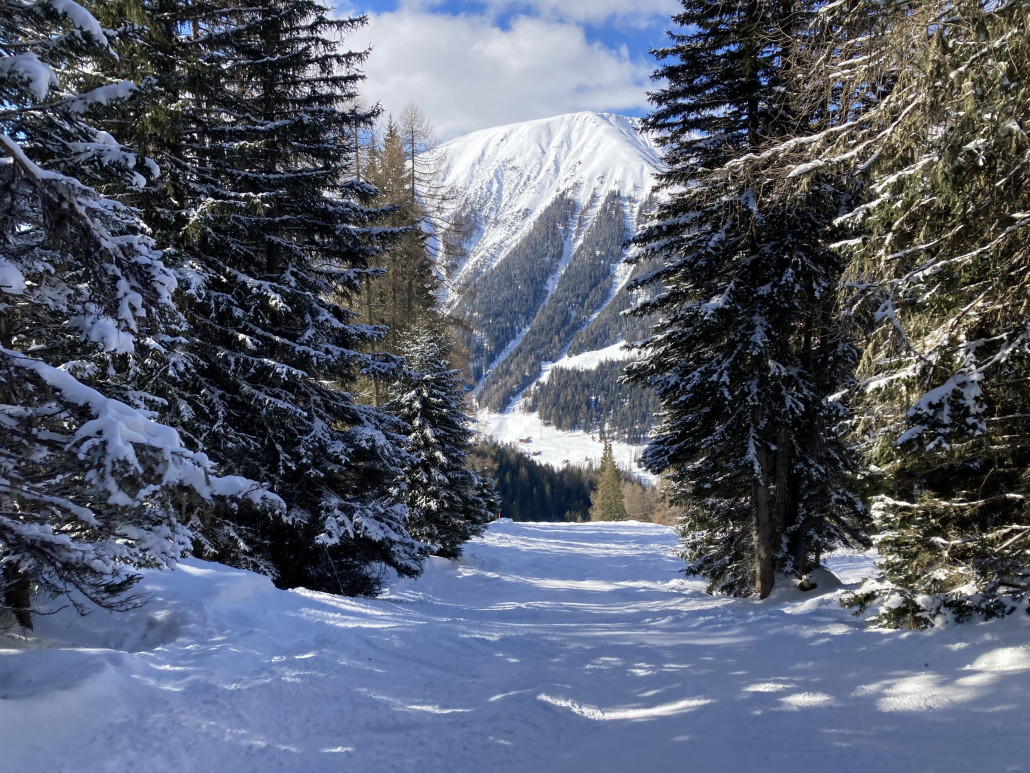 Piste 10. Im Wald war der Schnee noch relativ leicht.