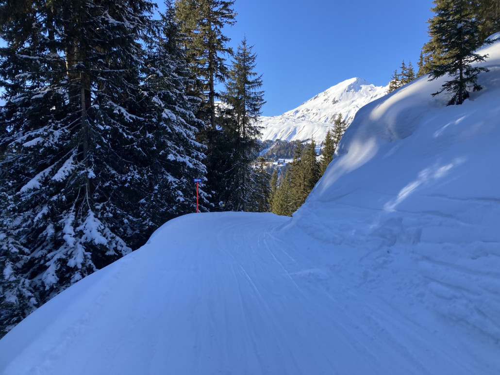 Lange und flache Talabfahrt 3. In Schattenlagen hatte es noch viel Schnee auf den Bäumen, wodurch sich eine winterliche Szenerie ergab.