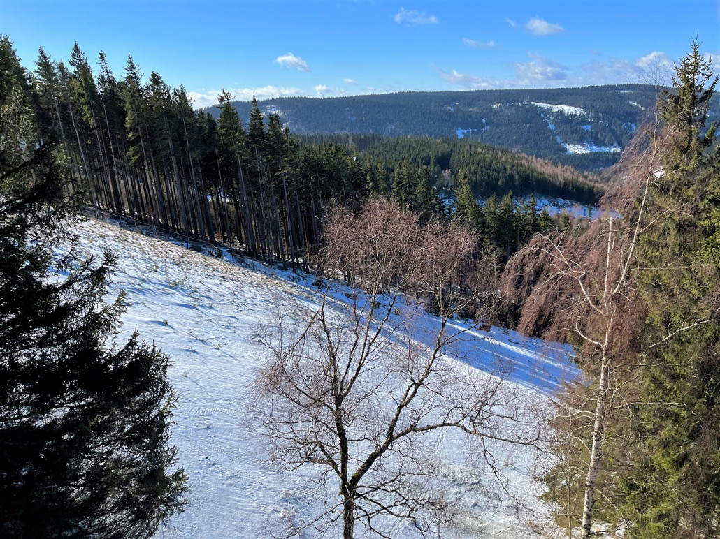 ...allerdings war der Naturschnee eben nicht mehr pulvrig, das lockte mich gestern nicht und auch sonst waren keine frischen Spuren zu sehen