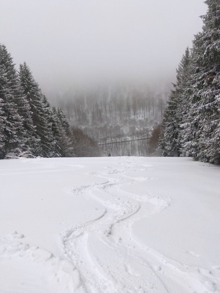 Ungewalzte Piste oben am Westfalenhang