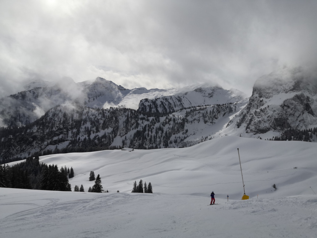 19.02.: Heute unterwegs im Teilgebiet Eggli-La Videmanette