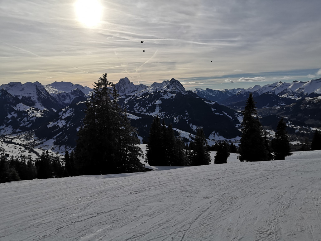 20.02.: Panorama vom Gfell