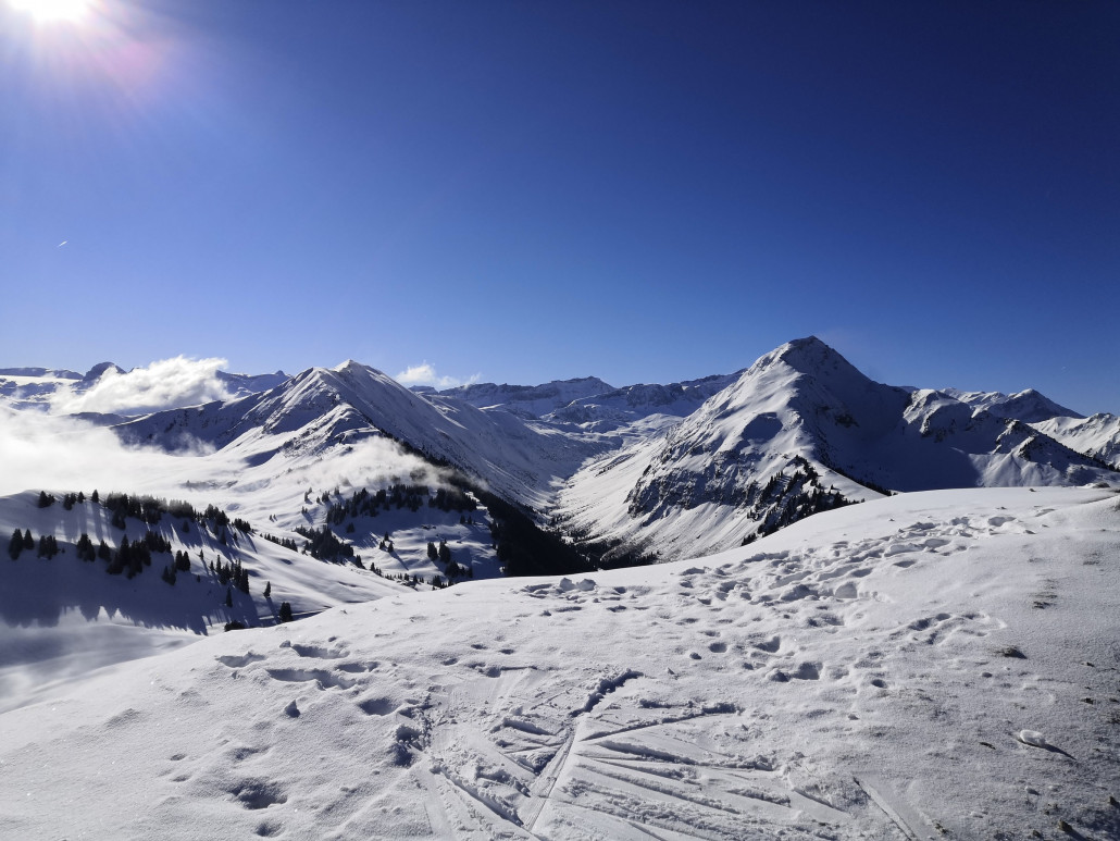 26.02.: Doch die stören kaum.