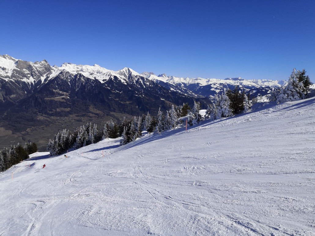 Die Tannen sind in dieser Ecke noch schön verschneit.