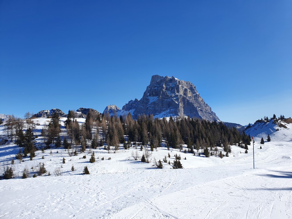 Civettta_2021_ (4).jpg