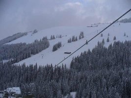 Südhang dürfte heute seinen 1. Tag gehabt haben ??