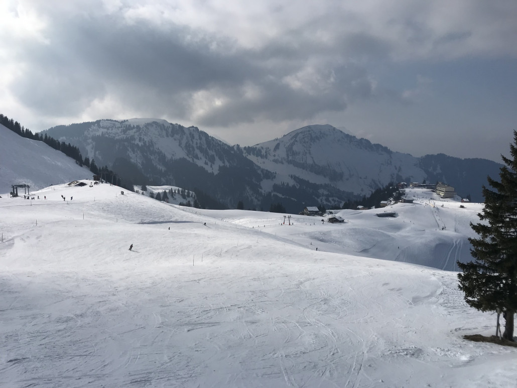 Das Wetter ist heute kalt und recht feucht