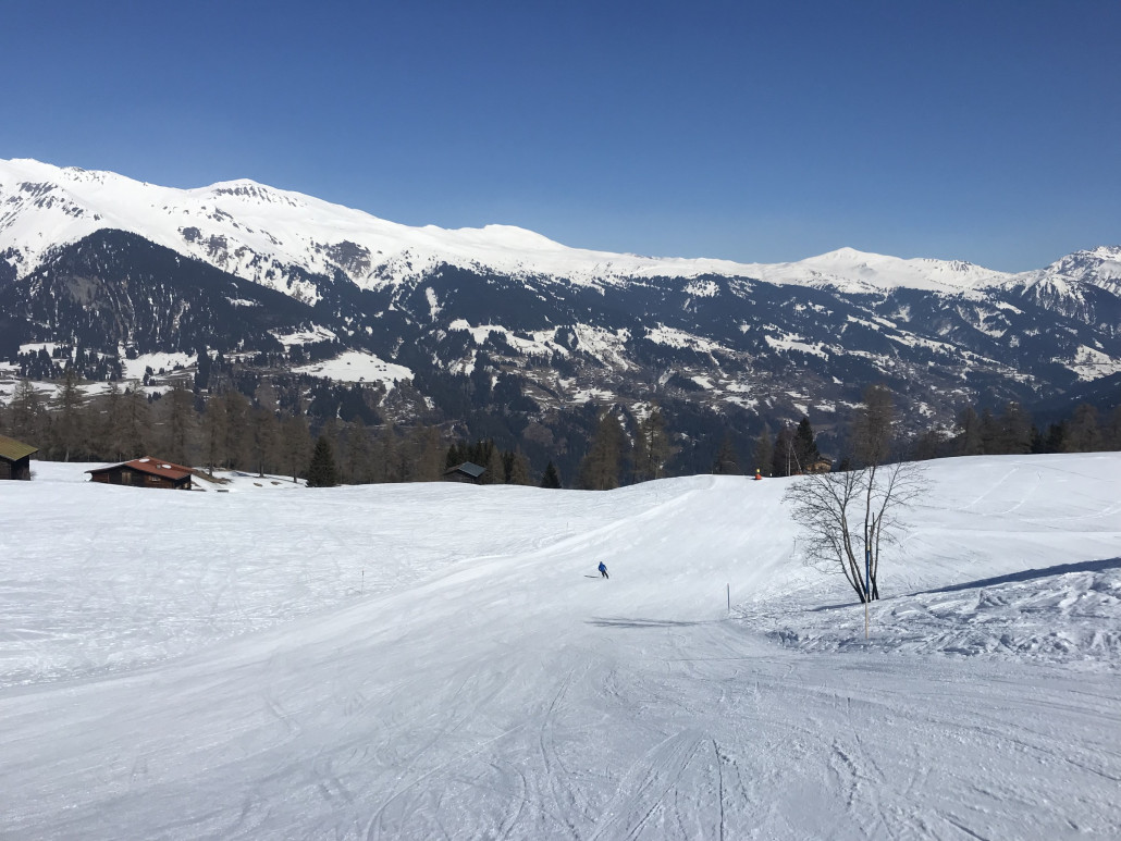 2022-03-07 13.33.20.jpg