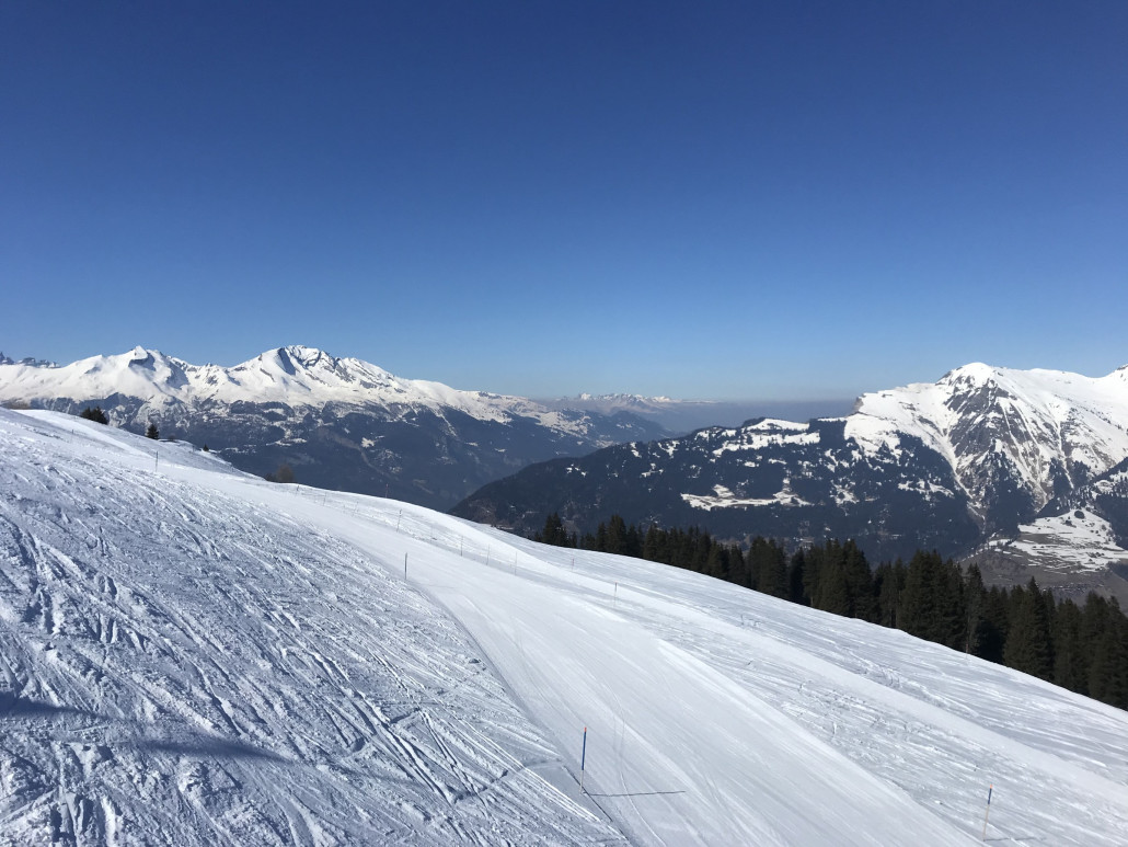 2022-03-07 13.50.39.jpg