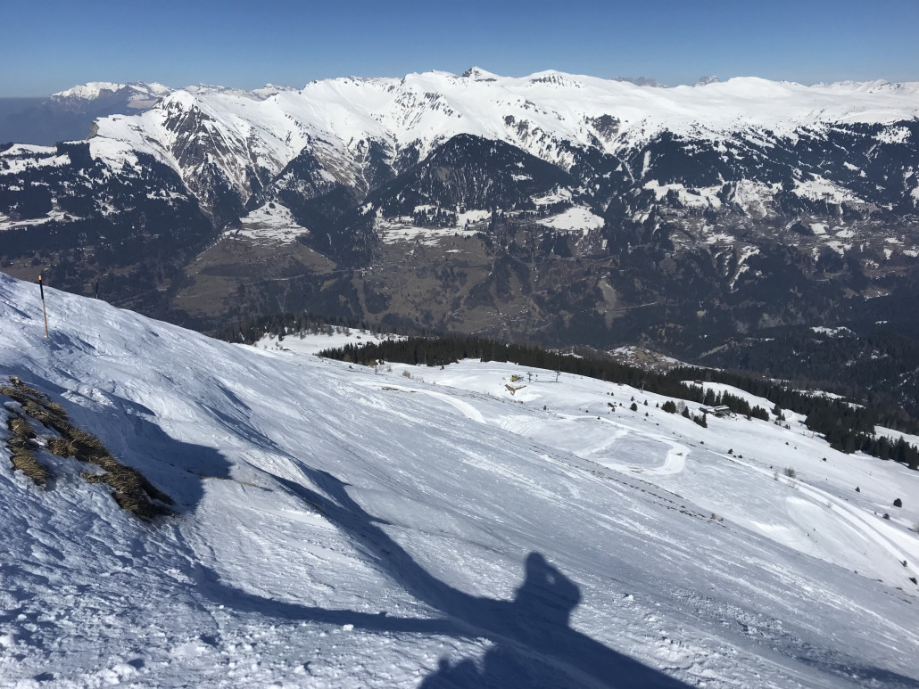 2022-03-07 14.00.18.jpg