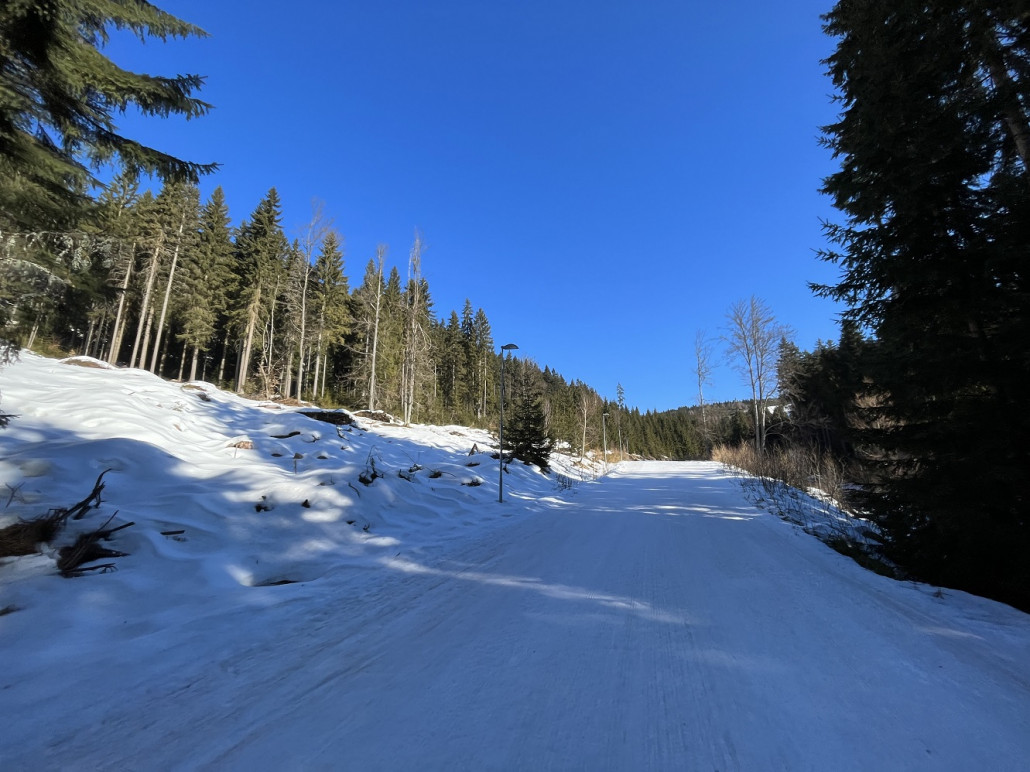 Vergleichsbild zur Schneelage auf dem Ziehweg 7b auf ca 760-770m Höhe