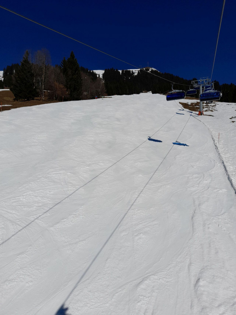 Schernthann: weich am Nachmittag